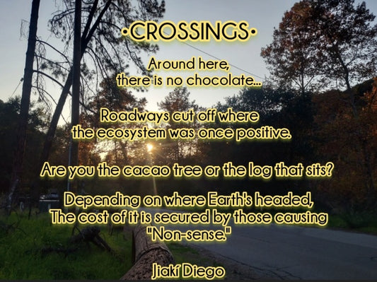 CROSSINGS